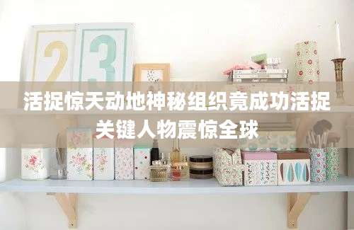 活捉惊天动地神秘组织竟成功活捉关键人物震惊全球