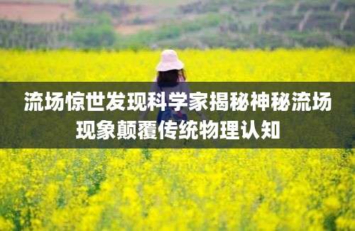 流场惊世发现科学家揭秘神秘流场现象颠覆传统物理认知