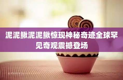泥泥鳅泥泥鳅惊现神秘奇迹全球罕见奇观震撼登场
