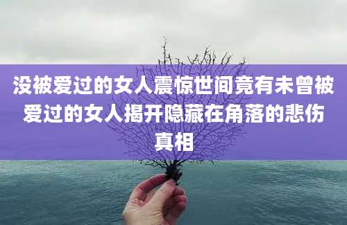 没被爱过的女人震惊世间竟有未曾被爱过的女人揭开隐藏在角落的悲伤真相