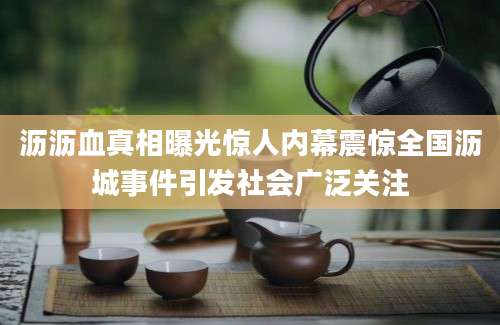 沥沥血真相曝光惊人内幕震惊全国沥城事件引发社会广泛关注