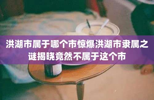 洪湖市属于哪个市惊爆洪湖市隶属之谜揭晓竟然不属于这个市