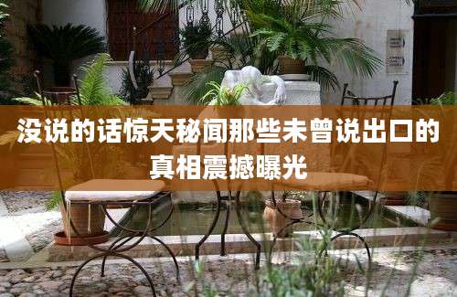 没说的话惊天秘闻那些未曾说出口的真相震撼曝光