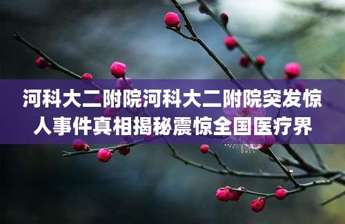 河科大二附院河科大二附院突发惊人事件真相揭秘震惊全国医疗界