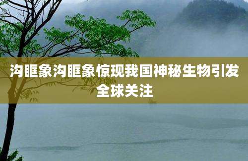 沟眶象沟眶象惊现我国神秘生物引发全球关注