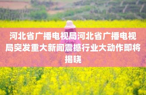 河北省广播电视局河北省广播电视局突发重大新闻震撼行业大动作即将揭晓