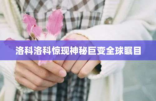 洛科洛科惊现神秘巨变全球瞩目