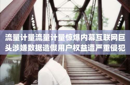 流量计量流量计量惊爆内幕互联网巨头涉嫌数据造假用户权益遭严重侵犯