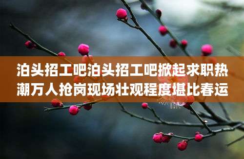 泊头招工吧泊头招工吧掀起求职热潮万人抢岗现场壮观程度堪比春运