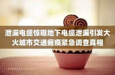 泄漏电缆惊曝地下电缆泄漏引发大火城市交通瘫痪紧急调查真相