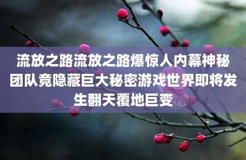 流放之路流放之路爆惊人内幕神秘团队竟隐藏巨大秘密游戏世界即将发生翻天覆地巨变