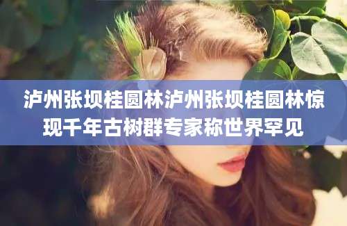 泸州张坝桂圆林泸州张坝桂圆林惊现千年古树群专家称世界罕见