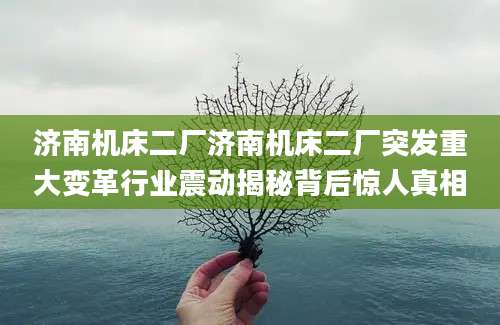 济南机床二厂济南机床二厂突发重大变革行业震动揭秘背后惊人真相