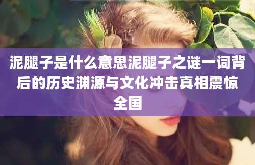 泥腿子是什么意思泥腿子之谜一词背后的历史渊源与文化冲击真相震惊全国