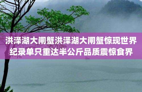 洪泽湖大闸蟹洪泽湖大闸蟹惊现世界纪录单只重达半公斤品质震惊食界