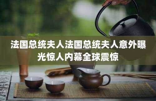 法国总统夫人法国总统夫人意外曝光惊人内幕全球震惊