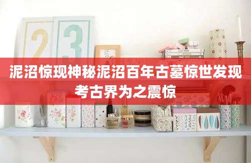 泥沼惊现神秘泥沼百年古墓惊世发现考古界为之震惊