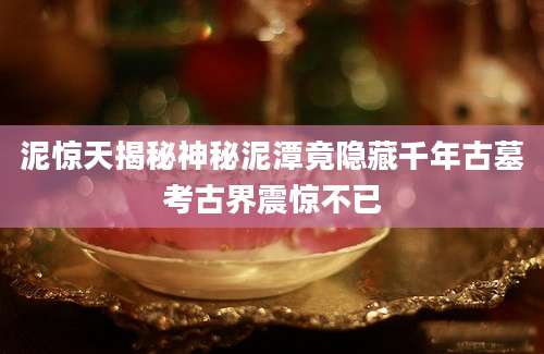 泥惊天揭秘神秘泥潭竟隐藏千年古墓考古界震惊不已