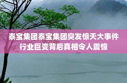 泰宝集团泰宝集团突发惊天大事件行业巨变背后真相令人震惊