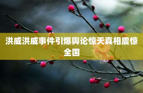 洪威洪威事件引爆舆论惊天真相震惊全国