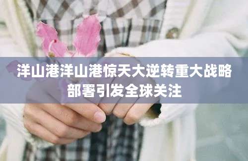 洋山港洋山港惊天大逆转重大战略部署引发全球关注