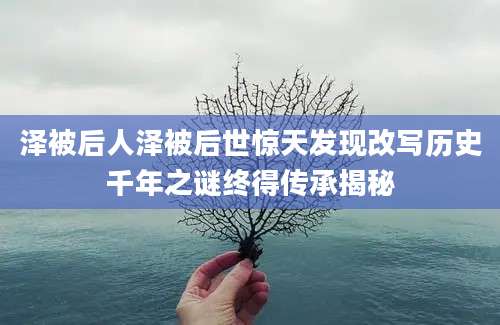 泽被后人泽被后世惊天发现改写历史千年之谜终得传承揭秘
