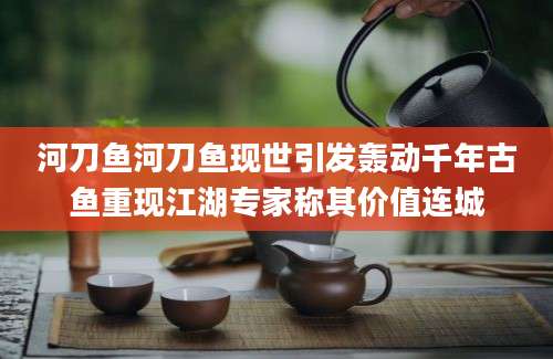 河刀鱼河刀鱼现世引发轰动千年古鱼重现江湖专家称其价值连城