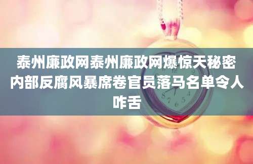 泰州廉政网泰州廉政网爆惊天秘密内部反腐风暴席卷官员落马名单令人咋舌