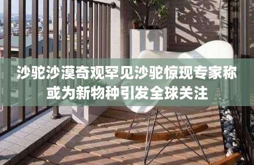 沙驼沙漠奇观罕见沙驼惊现专家称或为新物种引发全球关注