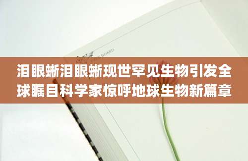 泪眼蜥泪眼蜥现世罕见生物引发全球瞩目科学家惊呼地球生物新篇章