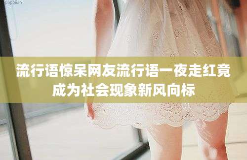流行语惊呆网友流行语一夜走红竟成为社会现象新风向标