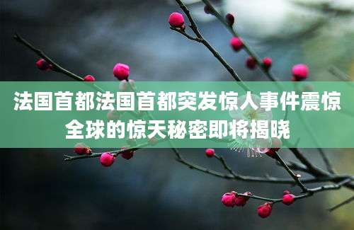 法国首都法国首都突发惊人事件震惊全球的惊天秘密即将揭晓