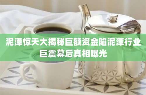 泥潭惊天大揭秘巨额资金陷泥潭行业巨震幕后真相曝光