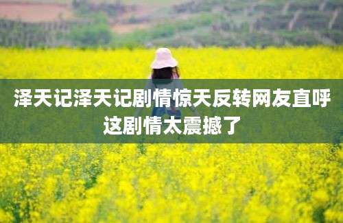 泽天记泽天记剧情惊天反转网友直呼这剧情太震撼了