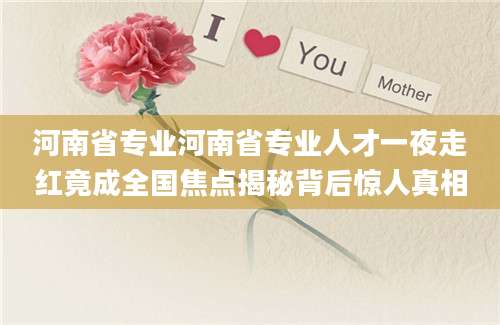 河南省专业河南省专业人才一夜走红竟成全国焦点揭秘背后惊人真相