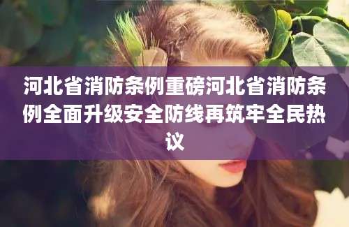 河北省消防条例重磅河北省消防条例全面升级安全防线再筑牢全民热议