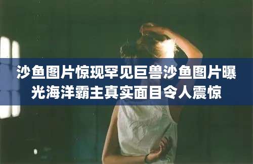 沙鱼图片惊现罕见巨兽沙鱼图片曝光海洋霸主真实面目令人震惊