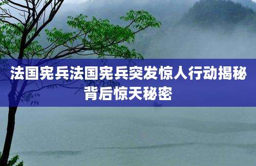 法国宪兵法国宪兵突发惊人行动揭秘背后惊天秘密