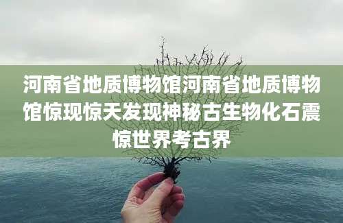 河南省地质博物馆河南省地质博物馆惊现惊天发现神秘古生物化石震惊世界考古界