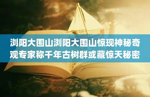 浏阳大围山浏阳大围山惊现神秘奇观专家称千年古树群或藏惊天秘密