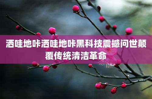 洒哇地咔洒哇地咔黑科技震撼问世颠覆传统清洁革命