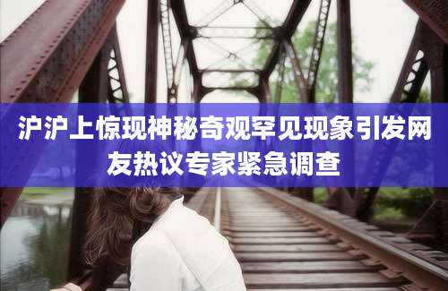 沪沪上惊现神秘奇观罕见现象引发网友热议专家紧急调查