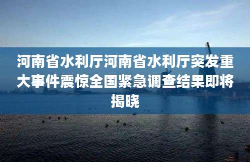 河南省水利厅河南省水利厅突发重大事件震惊全国紧急调查结果即将揭晓