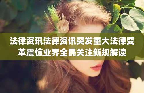 法律资讯法律资讯突发重大法律变革震惊业界全民关注新规解读