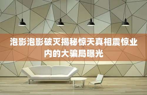 泡影泡影破灭揭秘惊天真相震惊业内的大骗局曝光