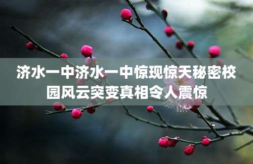 济水一中济水一中惊现惊天秘密校园风云突变真相令人震惊