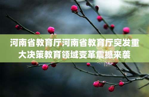 河南省教育厅河南省教育厅突发重大决策教育领域变革震撼来袭