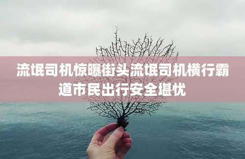 流氓司机惊曝街头流氓司机横行霸道市民出行安全堪忧