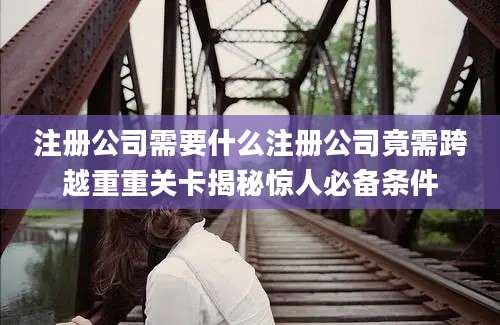 注册公司需要什么注册公司竟需跨越重重关卡揭秘惊人必备条件