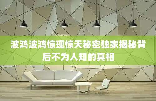 波鸿波鸿惊现惊天秘密独家揭秘背后不为人知的真相